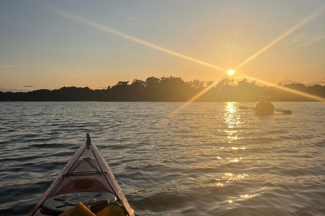 Sunset Kayak Tour in the Stockholm Archipelago + Swedish Fika - A Deep Dive into the Sunset Kayak Tour Experience