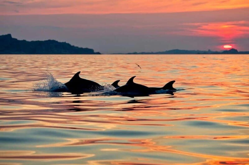Sunset Kayak Tour + Snorkeling and Local Aperitif - The Itinerary and Highlights