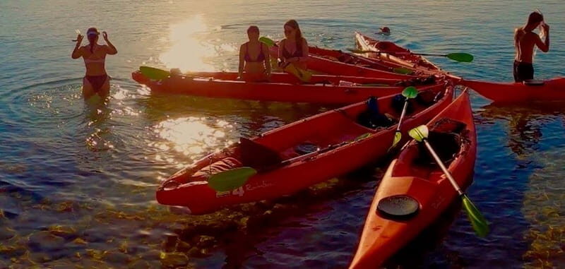 Sunset Kayak Tour + Snorkeling and Local Aperitif - Snorkeling and Marine Life