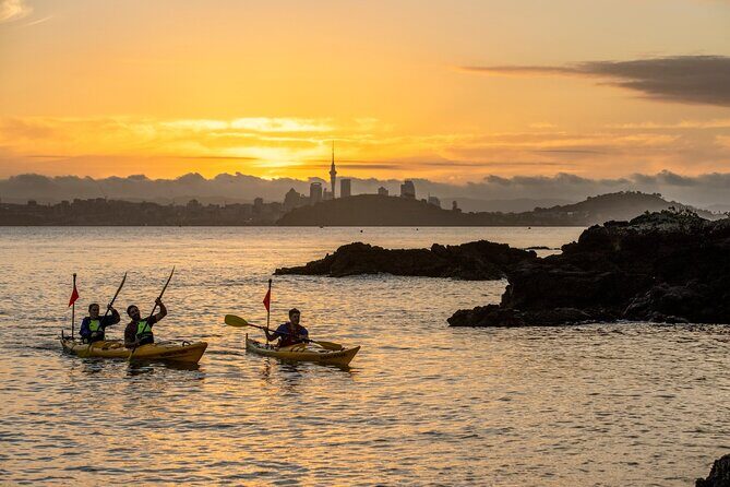 Sunset kayak tour to Rangitoto Island - Key Points