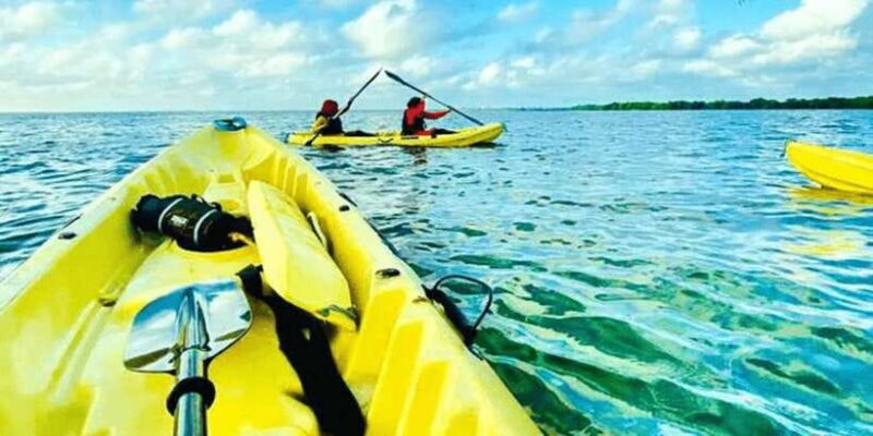Sunset Kayaking in Negombo - The Value of This Experience