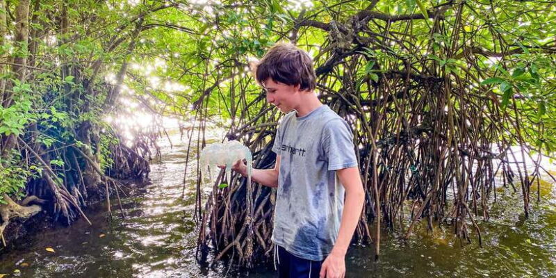 Sunset Kayaking on the Negombo Lagoon - FAQ
