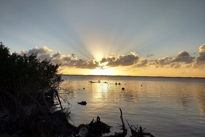 Sunset kayaking tour at Manatee Cove with Manatee & Dolphin sightings - A Peaceful Paddle Through Florida’s Natural Wilderness