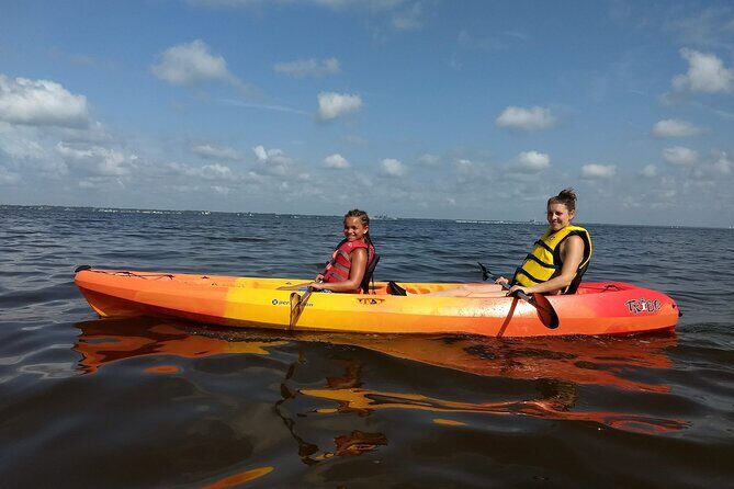Sunset kayaking tour at Manatee Cove with Manatee & Dolphin sightings - Authentic Reviews: What Travelers Say