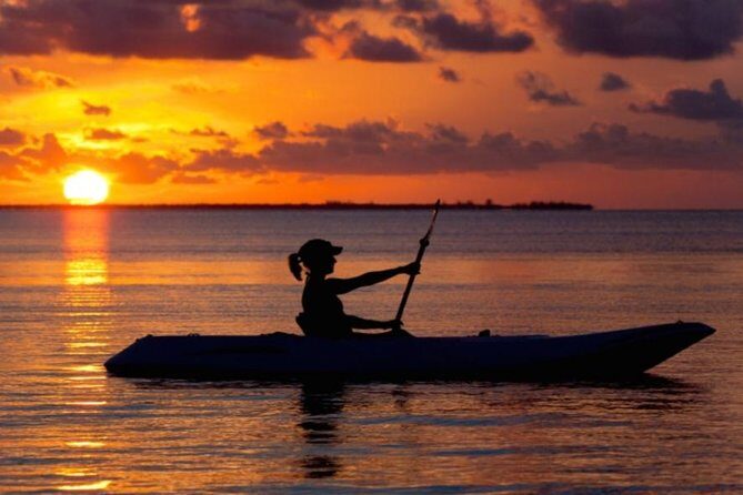 Sunset Kayaking w/ Florida Bioluminescence Combo Tour | Haulover canal - Exploring the Tour in Detail