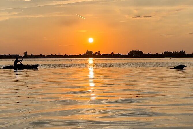 Sunset Kayaking with Dolphins - Key Points