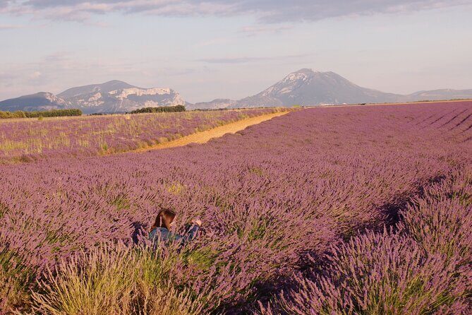 Sunset Lavender Tour in Valensole with pickup from Marseille - FAQ