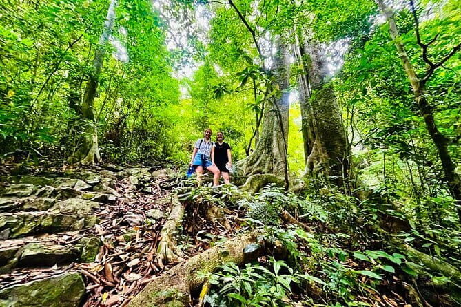 Sunset- Magical bioluminescent plankton Kayaking trip from Catba - Why You Should Consider This Tour