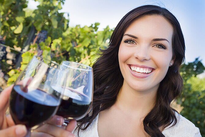 Sunset Niagara-on-the-Lake Small Group Wine Tour with Dinner - A Deep Dive into the Niagara-on-the-Lake Wine Tour Experience