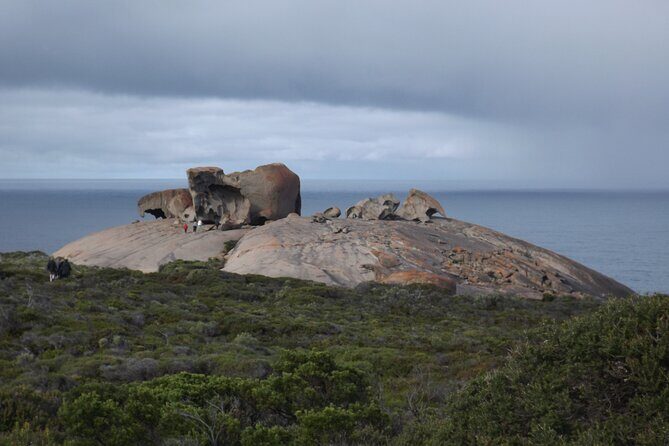 Sunset Nocturnal Adventure Tour - Practical Details and Tips for Travelers