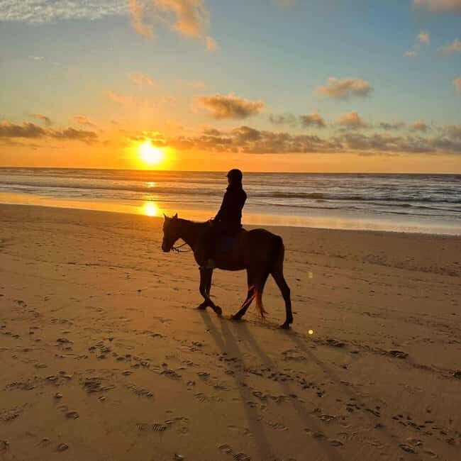 Sunset on Horseback at El Limón Beach - Key Points