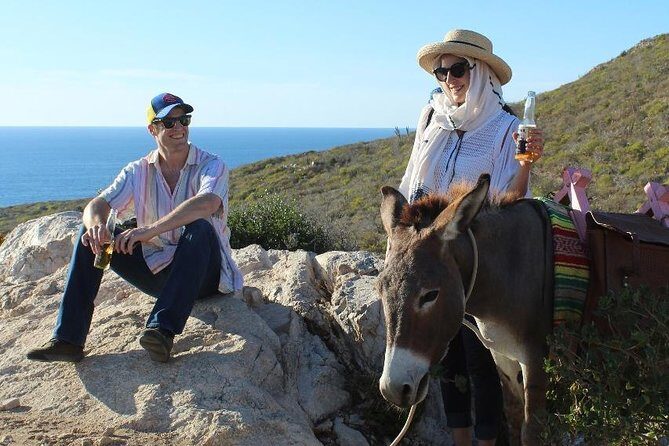 Sunset Pacific Donkey Hiking Tour - Sunset Pacific Donkey Hiking Tour: An Authentic Baja Adventure