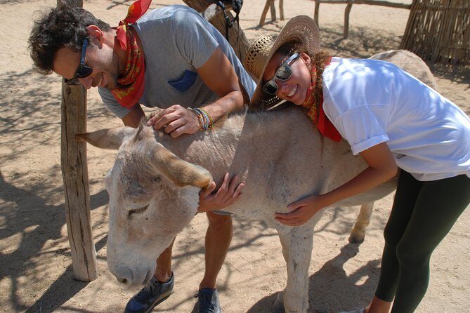 Sunset Pacific Donkey Hiking Tour - Key Points