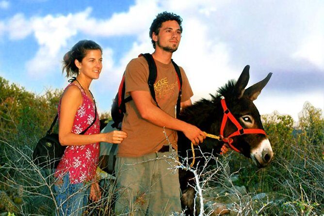 Sunset Pacific Donkey Hiking Tour - Who Will Love This Tour?