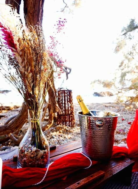 Sunset Picnic - Final Thoughts: Is the Sunset Picnic for You?
