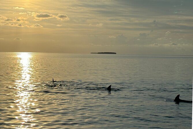 Sunset Powerboat Cruise - Final Thoughts