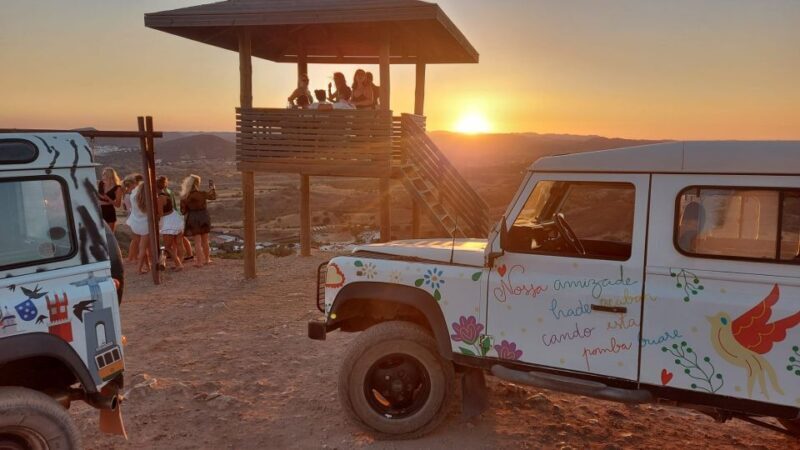 Sunset Safari - An In-Depth Look at the Sunset Safari Experience