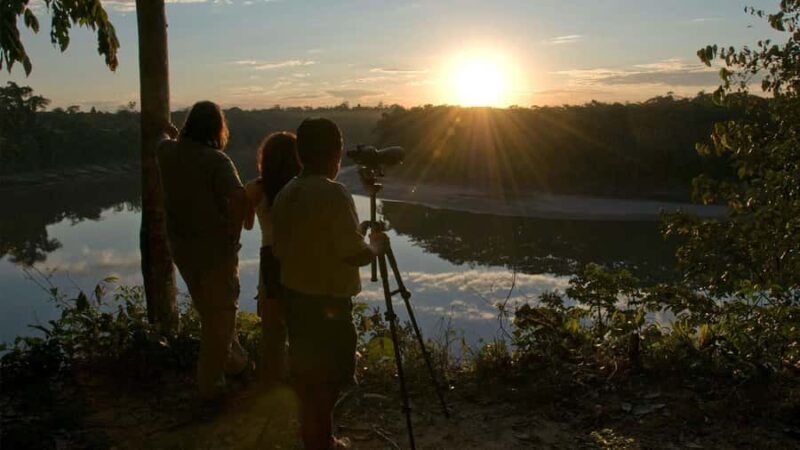 Sunset safari, alligators and capybaras. - Exploring the Amazon Sunset Safari: What to Expect