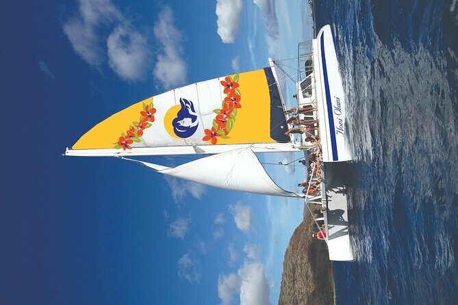 Sunset Sail Experience at Kona from Honokohau - The Sum Up