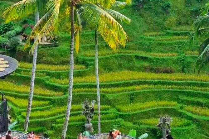 Sunset Sailboat Dinner Cruise & Private Ubud highlights Tour. - The Evening: Sunset Dinner Cruise on a Traditional Sailboat