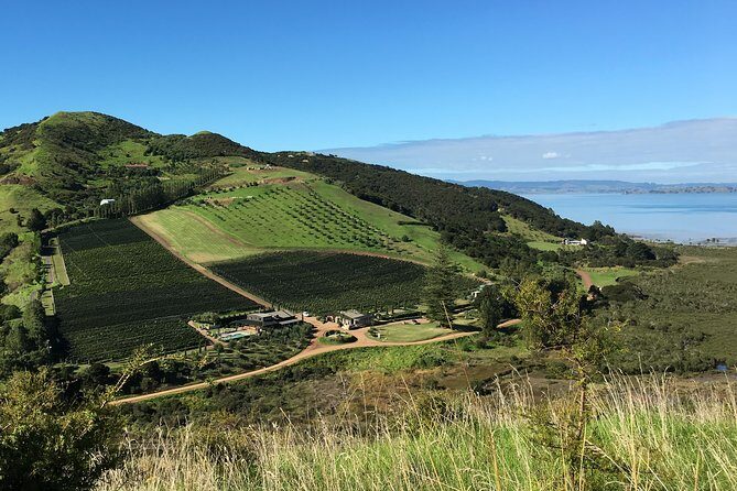 Sunset Scenic Dinner Tour on Beautiful Waiheke Island - The Sum Up