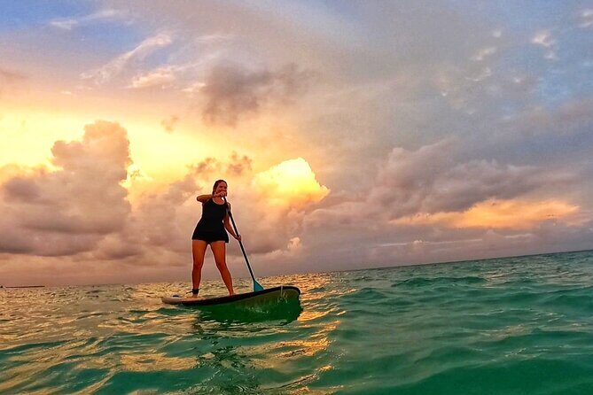 Sunset Session - An Exciting Paddleboard Adventure For All Levels - Key Points