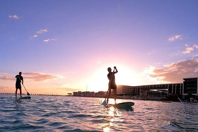 Sunset Session - An Exciting Paddleboard Adventure For All Levels - Why This Tour Offers Great Value