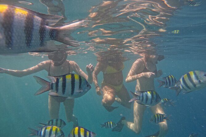 Sunset Snorkeling with Picture & Video in Gili Meno Turtle - FAQs