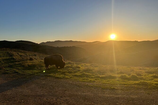 Sunset Summit Catalina Island Shared Tour - FAQs