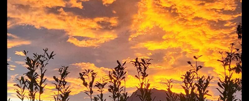 Sunset - Who This Tour Is Perfect For