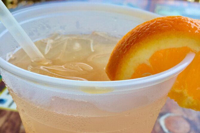 Sunset Tiki Tour in Venice and Siesta Key Florida - Who Will Love This Tour?