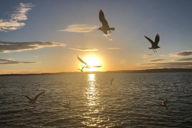 Sunset Tour in Sirmione - Final Thoughts