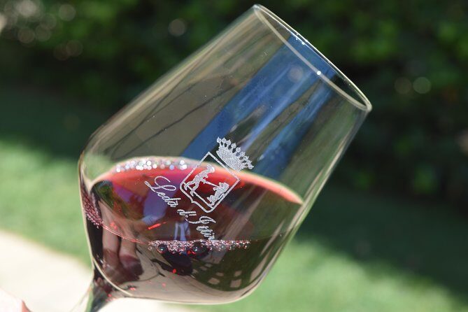 Sunset Tour with visit and guided tasting of 5 wines and local products - Key Points
