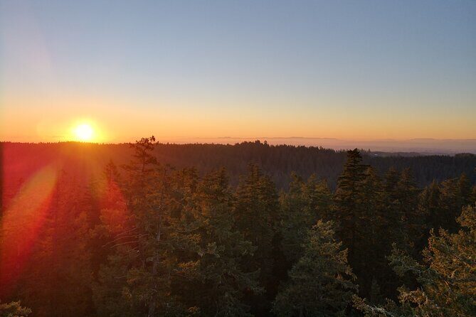 Sunset Tree Climb at Silver Falls State Park - Sunset Tree Climb at Silver Falls State Park: A Unique Canopy Adventure