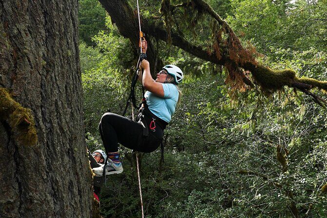 Sunset Tree Climb at Silver Falls State Park - FAQs