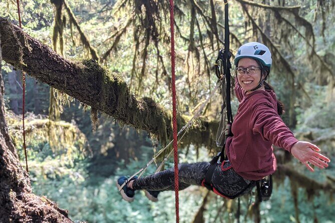 Sunset Tree Climb at Silver Falls State Park - Final Thoughts