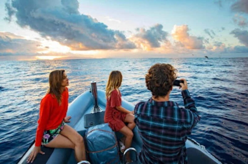 Sunset Trip + Dolphin & Whale Watching - Speed Boat - Key Points