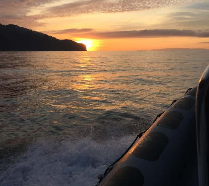 Sunset Trip + Dolphin & Whale Watching - Speed Boat - Exploring the Madeira Speedboat Sunset & Marine Life Tour