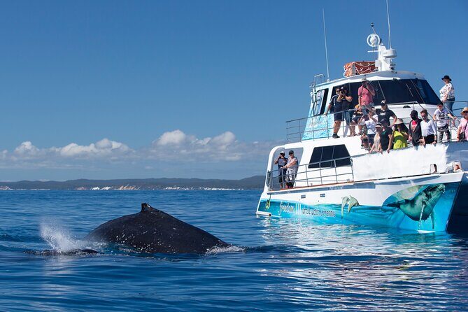 Sunset Twilight Cruise in Hervey Bay - Final Thoughts: Is It Worth It?
