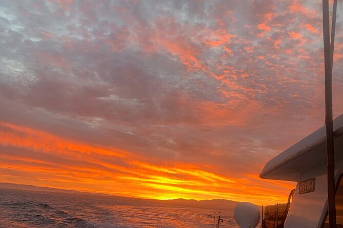 Sunset Whale Watch Tour in Monterey - Sunset Whale Watch Tour in Monterey: A Close-Up Look at Marine Life in California’s Coastal Waters