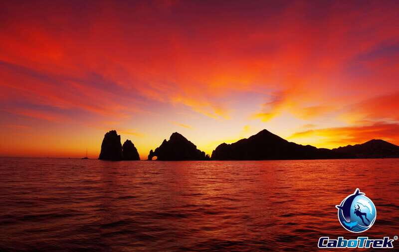 Sunset Whale Watching Cruise in Cabo San Lucas - The Sum Up: Who Should Consider This Tour?