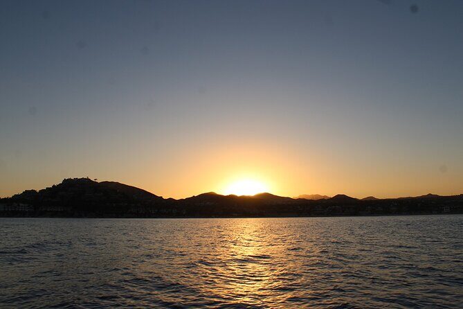 Sunset Whale Watching in San Jose del Cabo - Final Verdict: Is It Worth It?