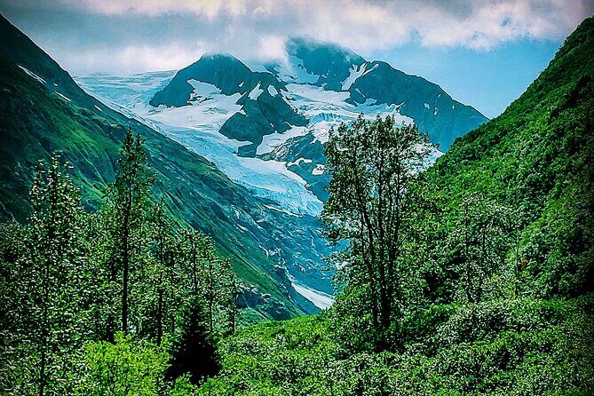 Sunset Wilderness Wildlife and Glacier Experience - Who Should Consider This Tour?