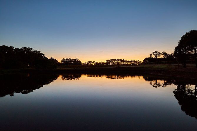 Sunset Wine Tasting Experience at Passel Estate - Sunset Wine Tasting Experience at Passel Estate: An Enjoyable Evening in Margaret River