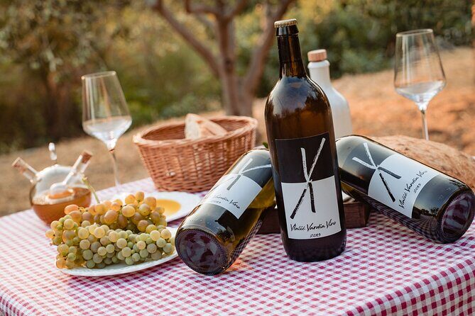 Sunset wine tasting in vineyard - Sunset Wine Tasting in Vineyard: An Authentic Croatian Experience
