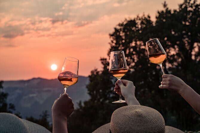 Sunset wine tasting in vineyard - The Value of the Tour: Price and What You Gain