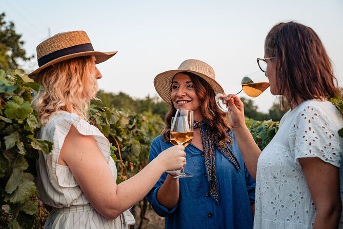 Sunset wine tasting in vineyard - Who Will Appreciate This Tour?