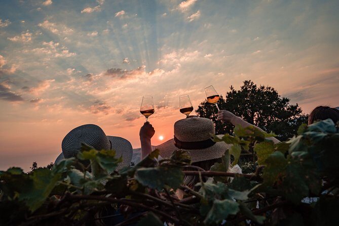 Sunset wine tasting in vineyard - Final Thoughts: Is It Worth It?