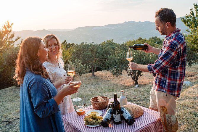 Sunset wine tasting in vineyard - FAQ