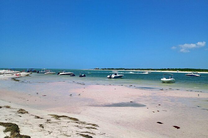 Sunsets Done Right  Clearwater Private Evening Cruise - Final Thoughts: A Quiet Coastal Gem